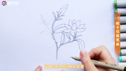 简单的栀子花怎么画