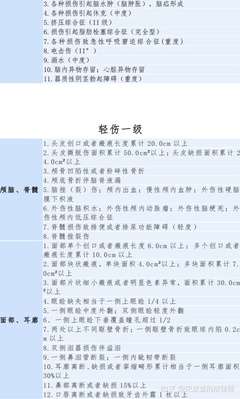 轻伤鉴定标准