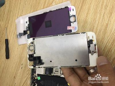 iPhone5换屏 苹果5手机换屏幕要