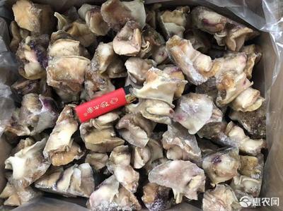干海螺头做法大全家常做法