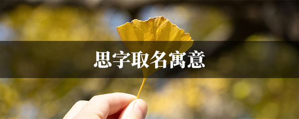 寓意聪明睿智的字