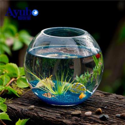 玻璃圆形鱼缸：如何选择玻璃圆形鱼缸