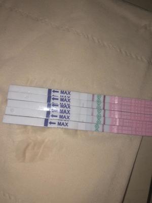 怎样知道排卵期有没有排卵