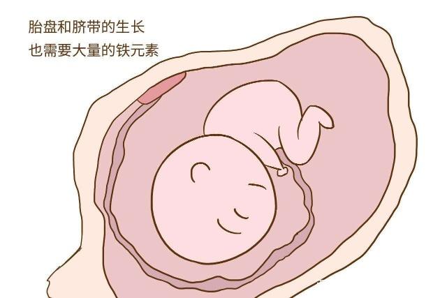 贫血怀孕了孩子能要吗
