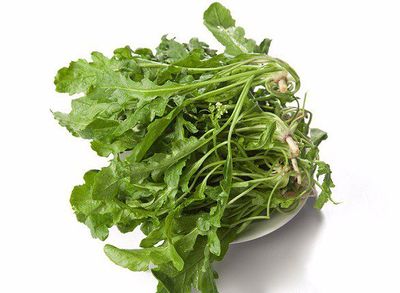 孕妇能不能吃荠菜