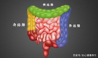 左边大肠疼是怎么回事
