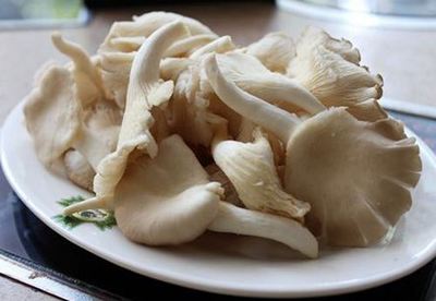 咳嗽能吃磨菇吗