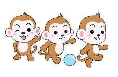 属猴子多少岁