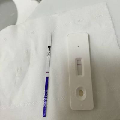 多久能用验孕棒测出怀孕