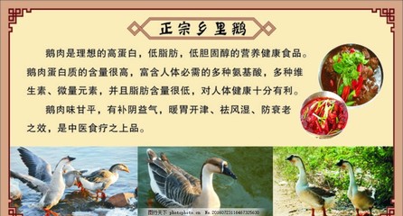 鹅吃土是怎么回事