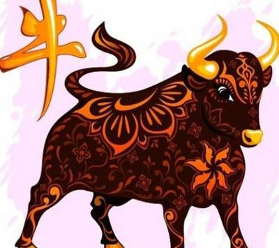 属牛的女人今年运势