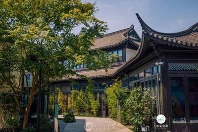 杭州 桃李春风