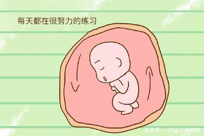 孕晚期胎儿老打嗝