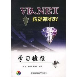 vb.net数据库编程