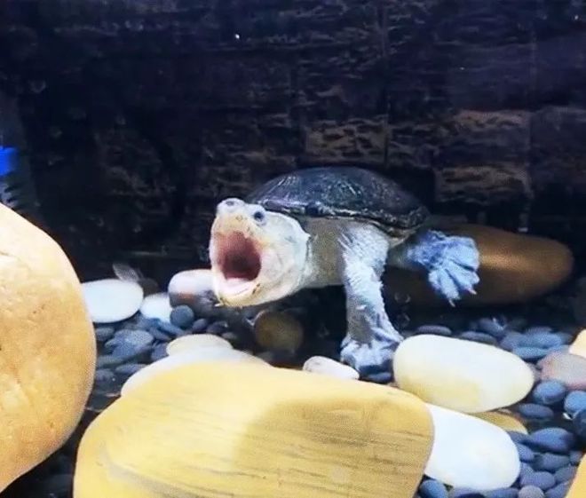 εڹʲô˼