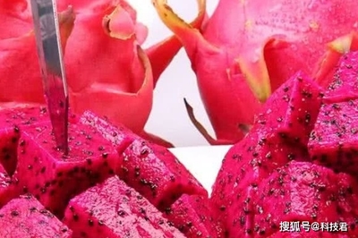产妇月子里可以吃火龙果吗