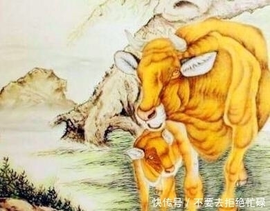 欲钱买一生平庸的生肖