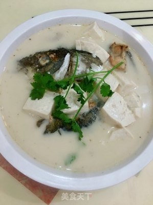 鱼头豆腐汤用什么鱼头