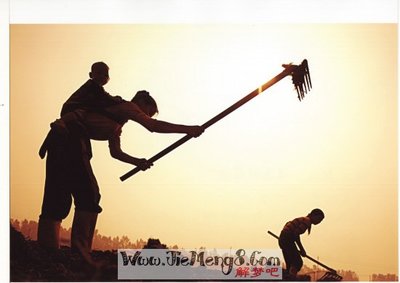 梦见自己不是父母亲生的