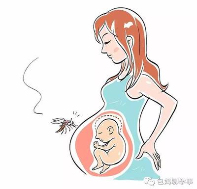 有蚊子孕妇怎么办