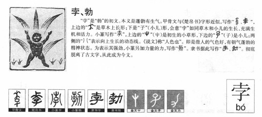 亭五行属什么