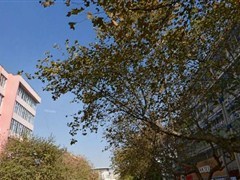 会泽租房信息网