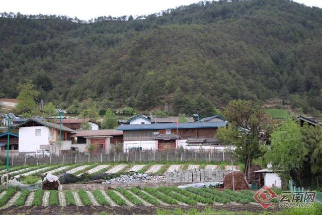 农村网名