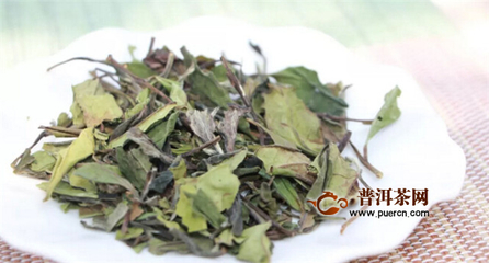 云南白茶价格