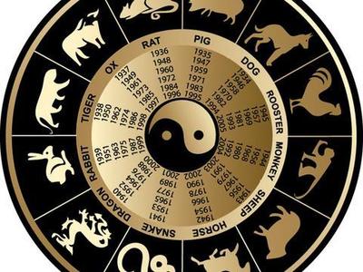 兔相克的生肖