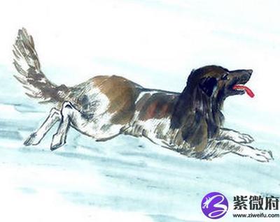 2006年五行属什么命