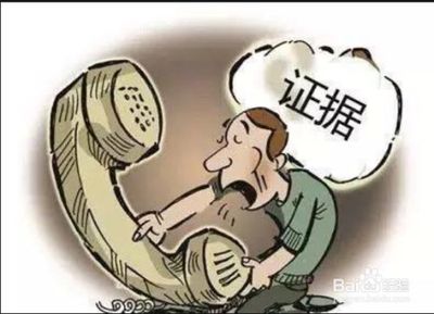 证据证明力