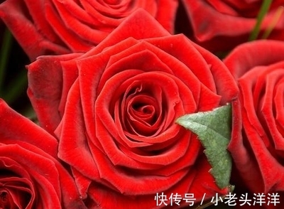 属虎和属羊的合不合财