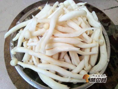 感冒咳嗽能吃海鲜吗