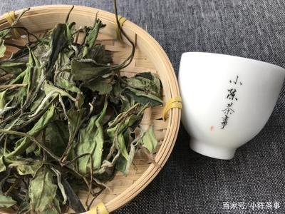关于白茶的知识