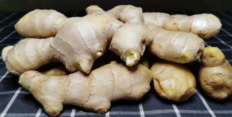 怀孕了可以吃姜吗