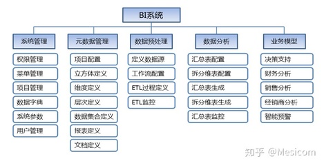 什么是bi项目