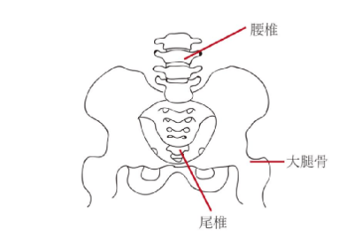 尾椎骨旁边疼是怎么回事