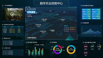 食堂厨房内墙砖高度是多少
