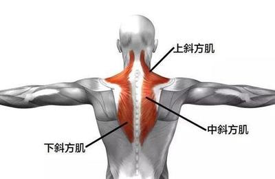 脖子一侧疼是怎么回事