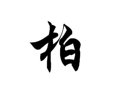 现代柏姓名人