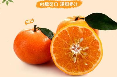 芦柑孕妇可以吃吗