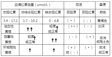 胆红素1 定量是多少正常