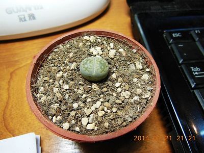 用力咳嗽痰中带血丝
