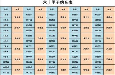 戊午年是什么命
