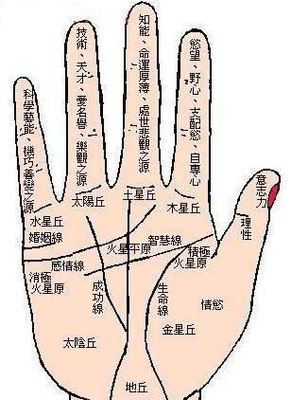 手指看命运指长短