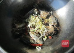 鲫鱼炖豆的做法大全家常