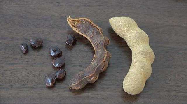 怀孕能吃酸角吗