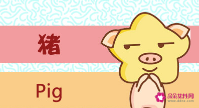 属猪带什么饰品旺财
