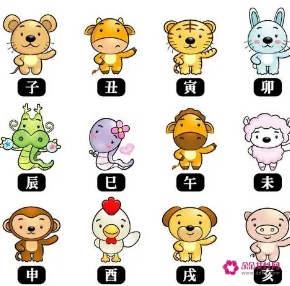 八仙指什么生肖