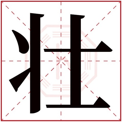 壮字五行属什么